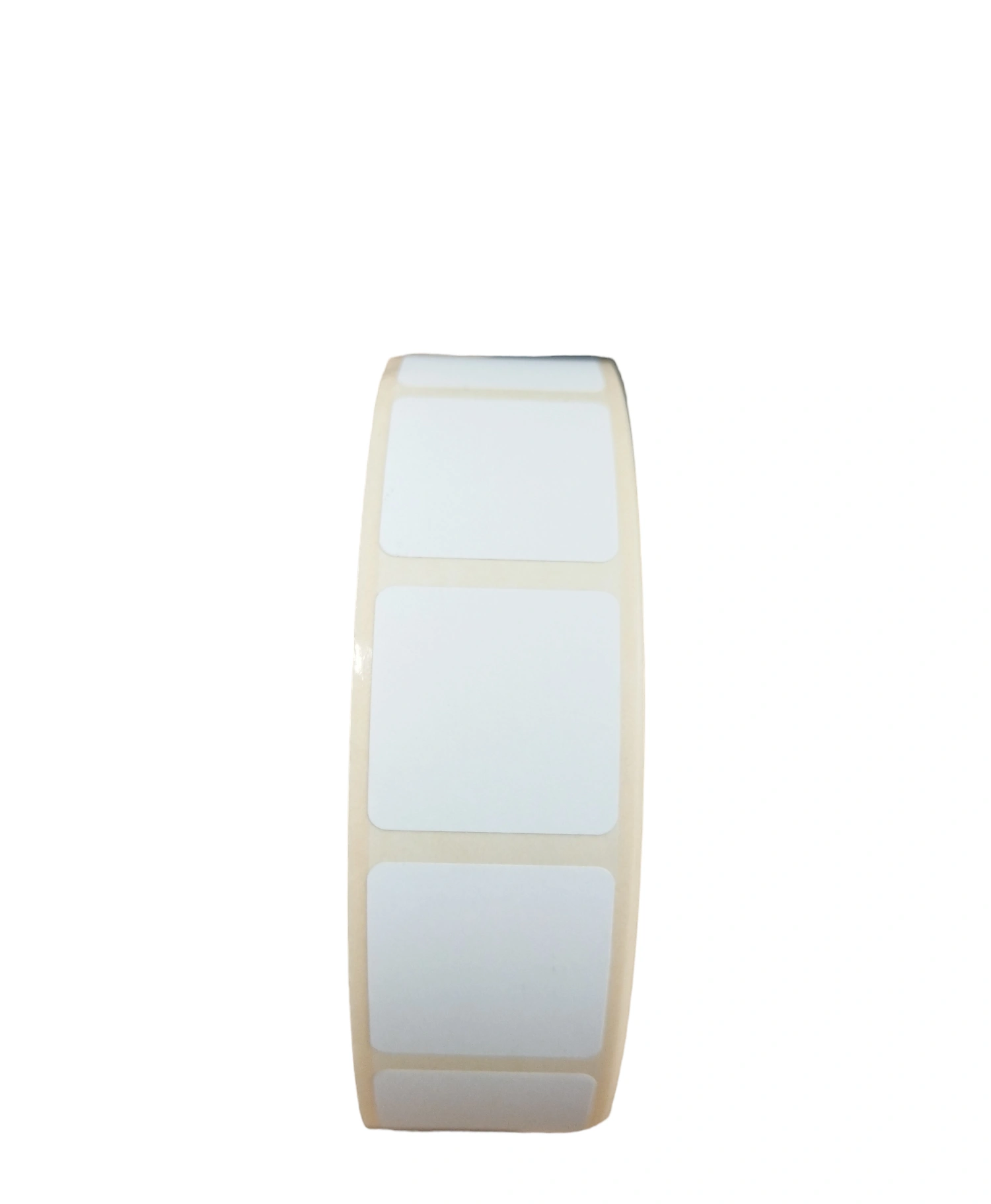 32 00686 - Termo Etiketa 25 mm x 25 mm, Thermo top, Biela, Dutinka 40 mm, 2000 ks/kotúč, Odlepiteľné lepidlo, Priemer kotúča 106 mm