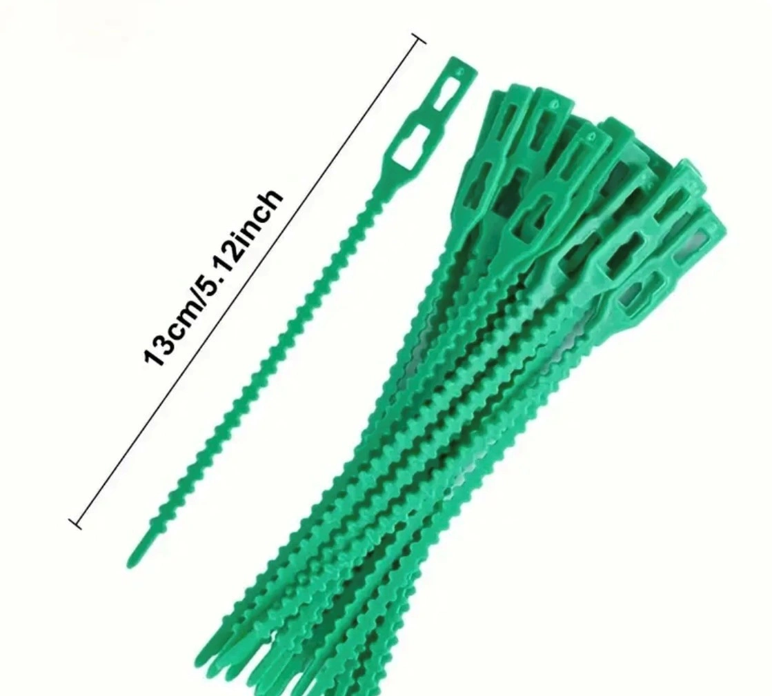 32 00998 - Záhradnícky upevňovací prevliekací pásik, 130 mm, Zelená, Balenie - 50 ks, Priemer kotúča 93 mm – Obrázok 2